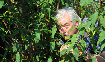 Man hiding