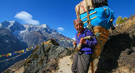 Sherpa