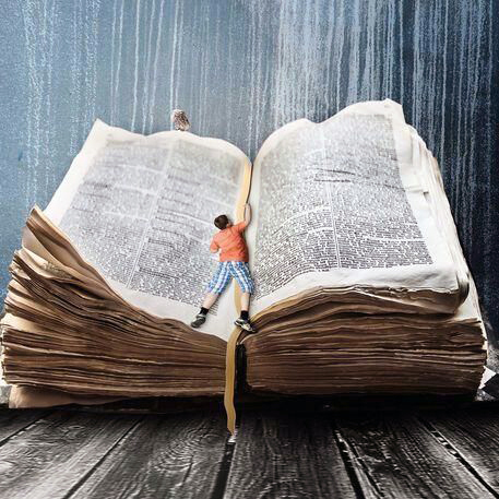 Man in book