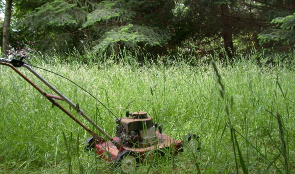 Lawn mower