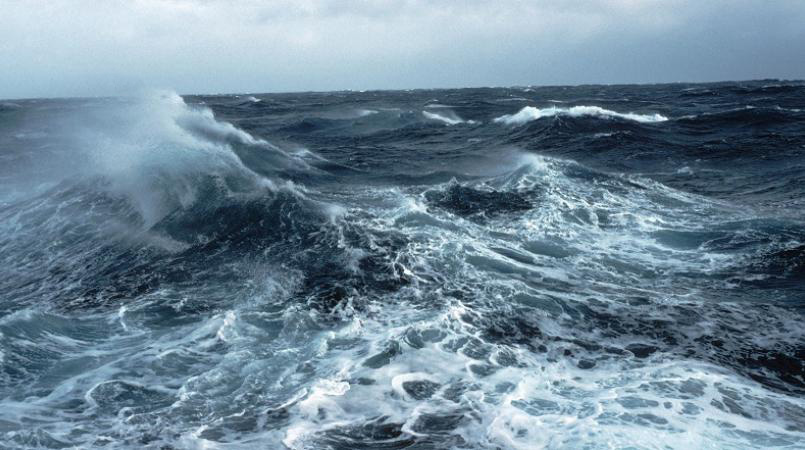 img blg RedSea