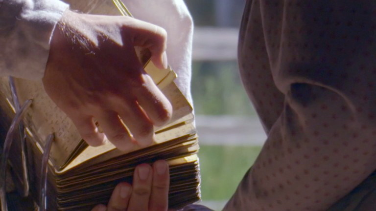 Being shown plates