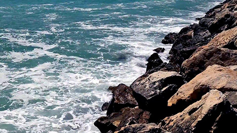 Rocky Shore
